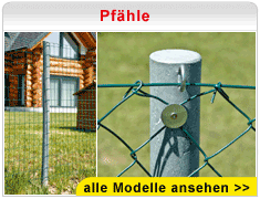 Pfähle Pfähle