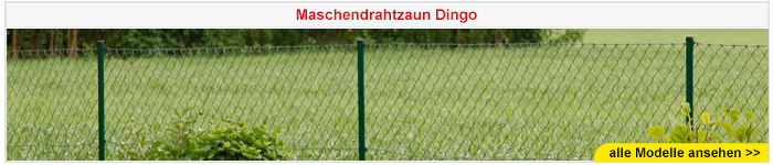 Maschendrahtzaun Dingo