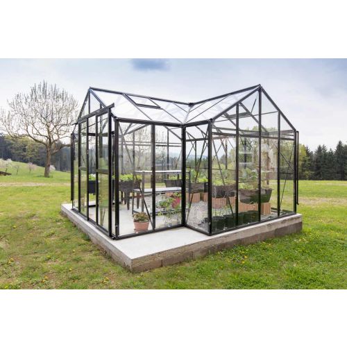 Gewächshaus Chili Abverkauf - Farbe: schwarz, Ausführung: Echtglas 4 mm, Länge: 3810 mm, Breite: 3770 mm, Höhe: 2500 mm
