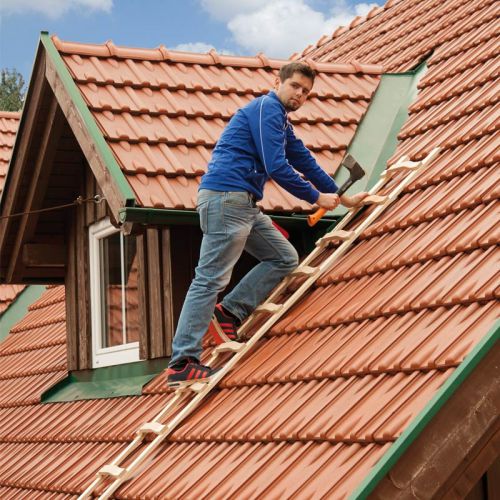 Holz Dachleiter - Sprossenzahl: 16, Länge: 4,50 m