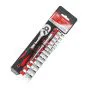 Ratschen-Set 15-teilig 1/4" mit Verlängerung