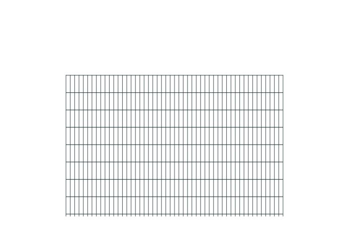 Doppelstabmattenzaun David 6/5/6 mm - Ausführung: anthrazit beschichtet, Höhe: 163 cm, Länge: 251 cm