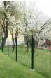 Gitterzaun Foxx - Rollenlänge: 25 m, Höhe: 61 cm, Farbe: anthrazit
