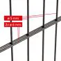 Doppelstabmattenzaun David 6/5/6 mm