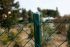 25 Meter Maschendrahtzaun Komplett-Set Dingo - Farbe: grün, Höhe: 100 cm, Ausführung: zum Einbetonieren