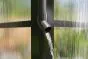 Gewächshaus Rosmarin PRO - Farbe: schwarz, Ausführung: Kunststoffglas 6 mm, Länge: 4130 mm, Breite: 3540 mm, Höhe: 2670 mm
