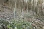 Weidezaun / Knotengeflecht Taurus leicht, Rollenlänge: 50 m, Kantendrähte: ø 2,4 mm, Draht: ø 1,9 mm - Höhe: 100 cm