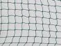 Ballfangnetz grün, 45 x 45 mm, Ø 2,0 mm aus PE, 4 seitig Seil - Höhe x Breite: 3 x 5 m