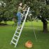 Obstbaumleiter Mod. 999