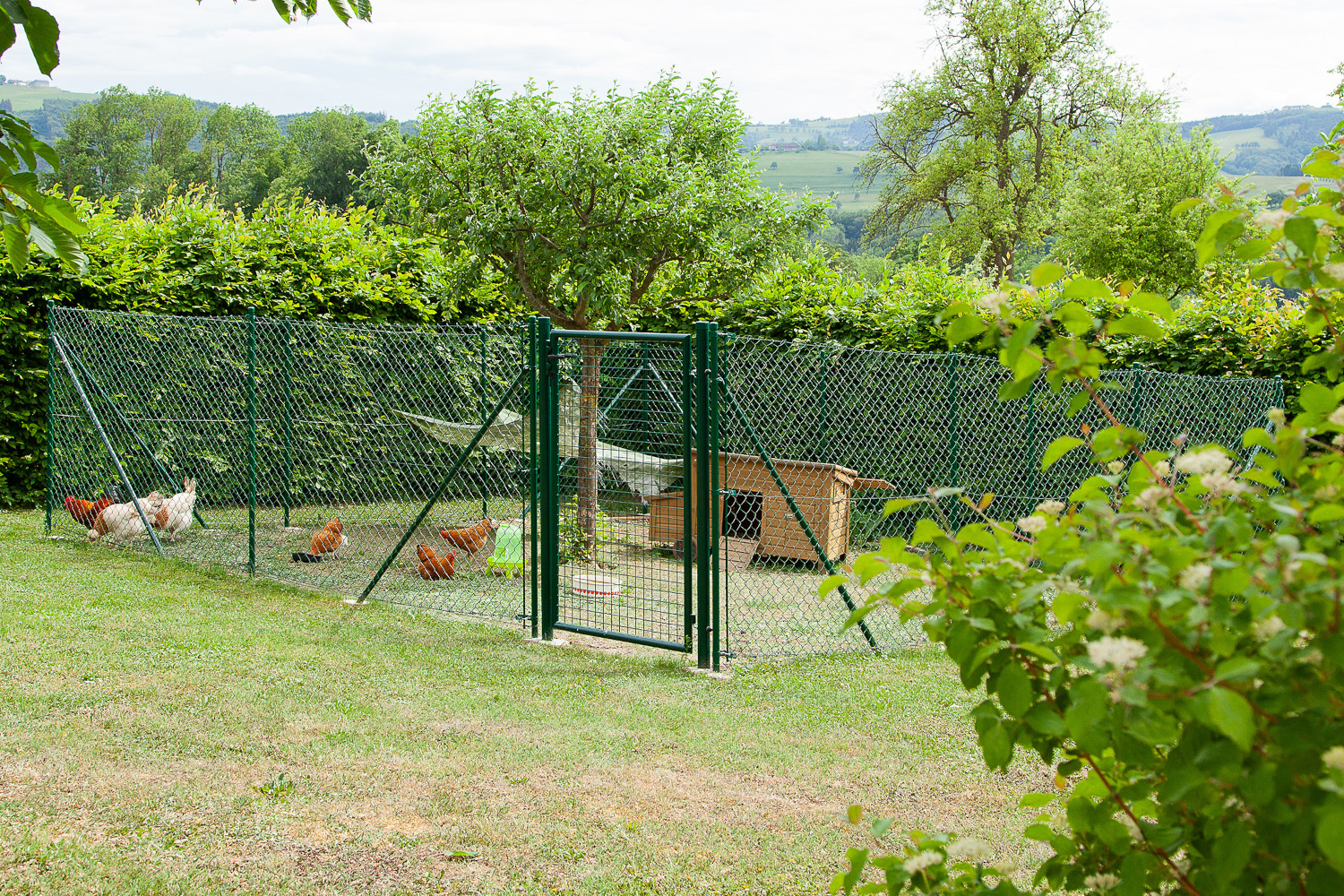 Maschendrahtzaun Serie Dingo